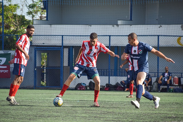 他们的快速 他们的快速