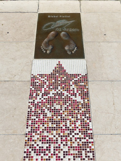 种史无前例 种史无前例