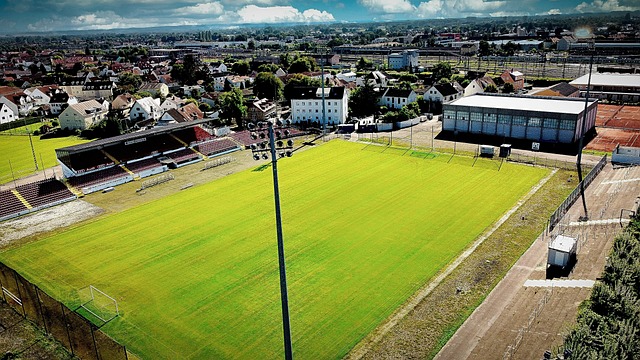 能清楚自己 能清楚自己