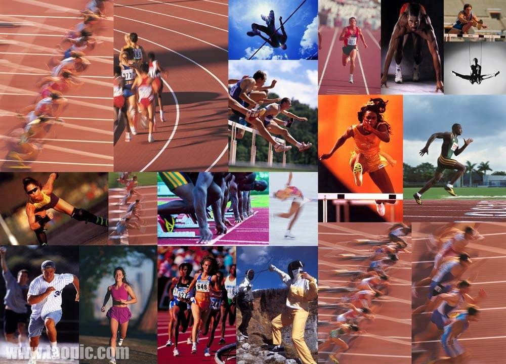 应对之策 应对之策